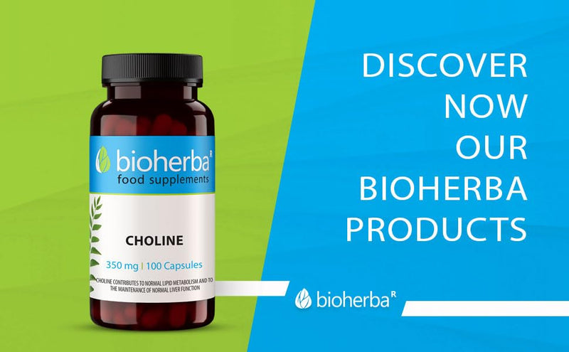 Choline 350 mg – 200 Capsules by BIOHERBA | Nutrient for Lipid Metabolism and Cellular Function 1 count (Pack of 200)