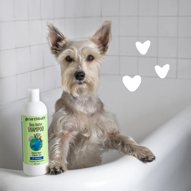 earthbath, Shea Butter Shampoo - Hypoallergenic Dog Shampoo, Plant-Based, Cruelty-Free, Vegan, Gluten-Free, Non-GMO, Made in USA, Moisutre Repair & Dander Care - 16 Oz (1 Pack) 16 FZ - PawsPlanet Australia