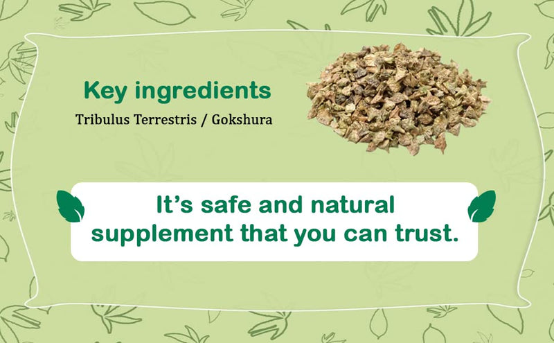 [Australia] - Gokhshura Gokhru Powder 200g/7.05oz Jar Rich in Antioxidants I Natural Detoxifier I No Chemicals & Preservative Free Tribulus Terrestris Vegan Herbal Powder I for Good Health & Overall Wellness 