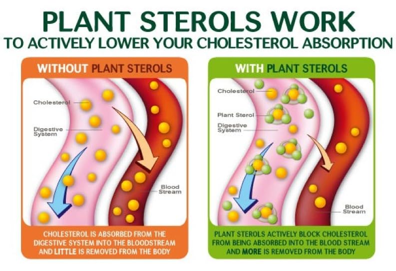 VITA PHARMA Plant Sterols 1000mg 365 Tablets, Healthy Cholesterol Levels, Balanced Lipid Levels, Circulatory Health, Heart Wellness