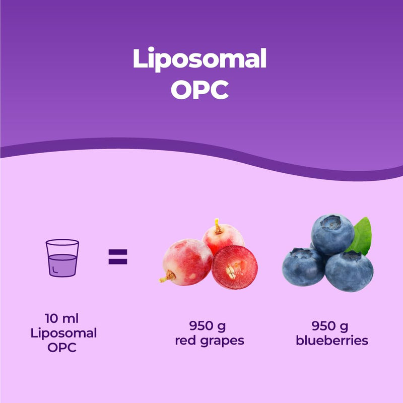 Bandini® Liposomal OPC Liquid 250ml - Grape Seed Extract High Strength with 95% OPC - 200 mg per Daily dose - Natural Antioxidant Supplement - Optimal Absorption & bioavailability - 25 Days Supply