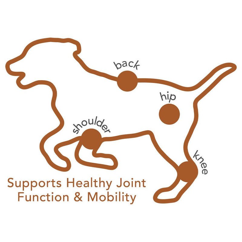 Vet's Best Hip & Joint Soft Chew Dog Supplements | Formulated with Glucosamine and Chondroitin to Support Dog Joint and Cartilage Health | 30 Day Supply Advanced Formula - PawsPlanet Australia