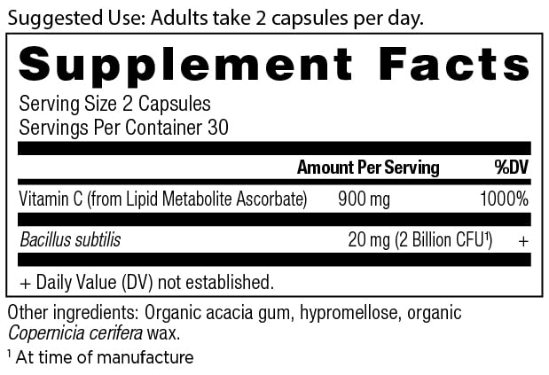 Ancient Nutrition Vitamin D Capsules, 60 Count + Vitamin C Capsules, 60 Count