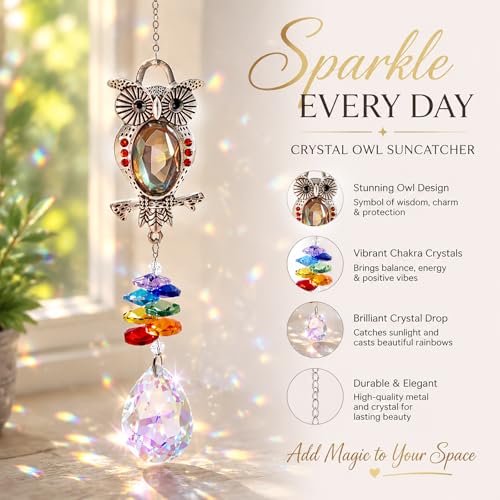 Chakra Owl Crystal Sun Catcher Window Hanging Ornament