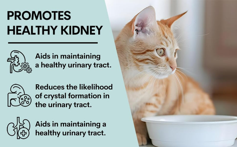 Urinary and Kidney Powder Supplement for Cats - Cranberry, Nettle Seed, D-Mannose for Cat UTI Treatment, Urinary Tract Health, and Kidney Care - Fast UTI Relief & Prevention - 60 Scoops - PawsPlanet Australia