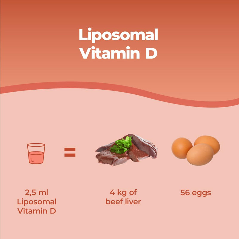 Bandini® Liposomal Vitamin D Liquid | 2000 IU Lipo Vitamin D3 | High Strength, High Bioavailability & Absorption | Immunity, Bones, Teeth, Joints, Muscle Support | 250ml | 100% Vegan, Non-GMO