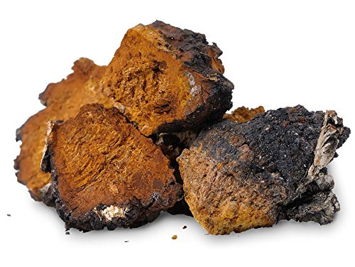 Natures Root Organic Chaga Mushroom Powder 100g