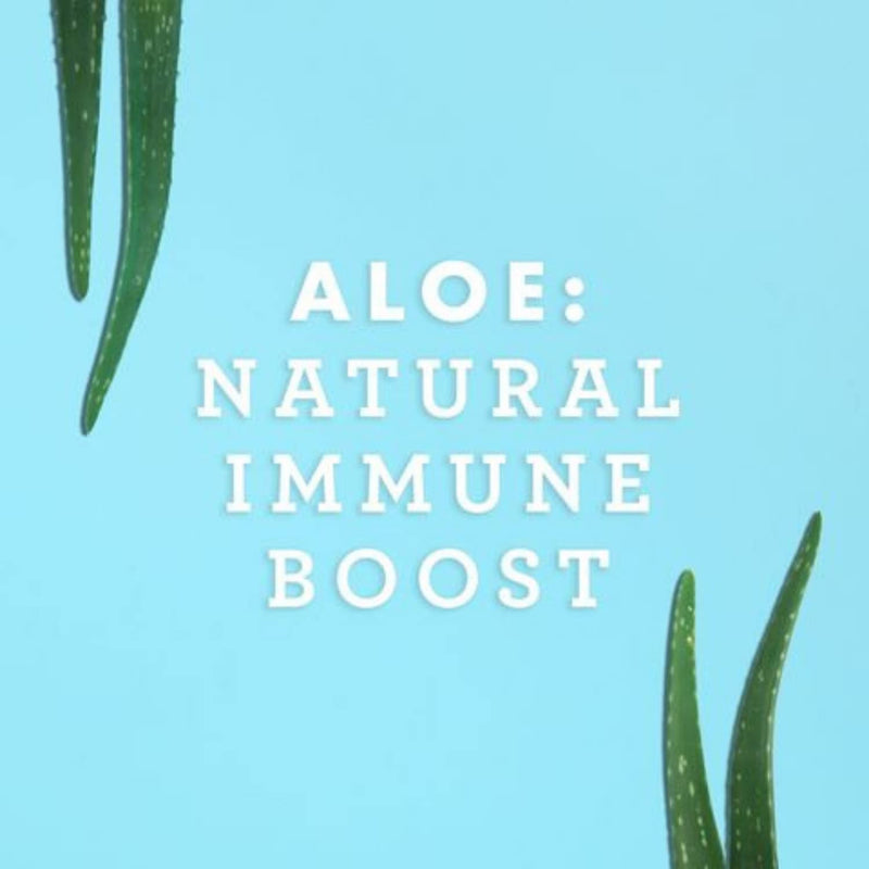 [Australia] - Lily Of The Desert Aloe Vera Juice Drink, Inner Fillet, Vegan Dietary & Immune Support, Gluten Free Liquid Digestive Aid, No Water Added, 16 Fl Oz 1 Count (Pack of 1) 