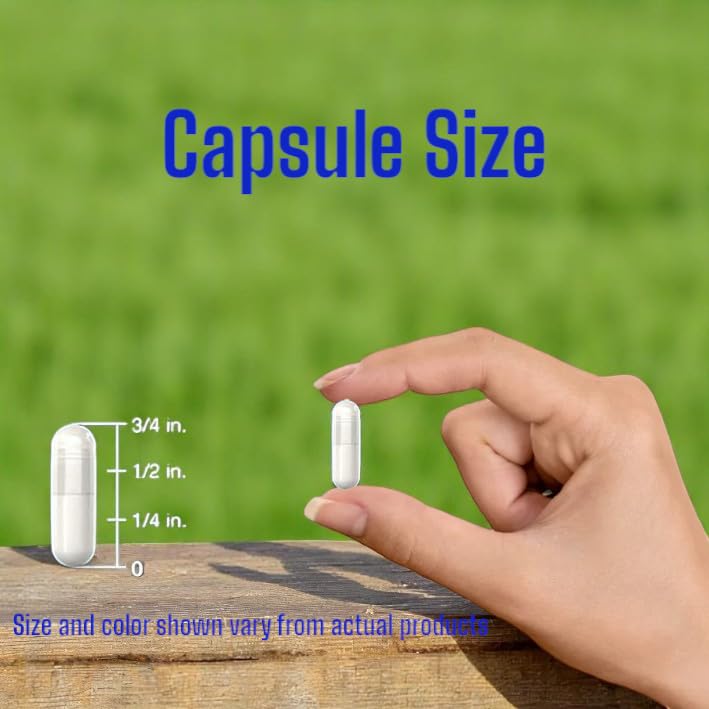 Phosphatidylserine, 500mg, 240 Veggie Capsules 100% Vegetarian, Non-GMO & Gluten Free 1
