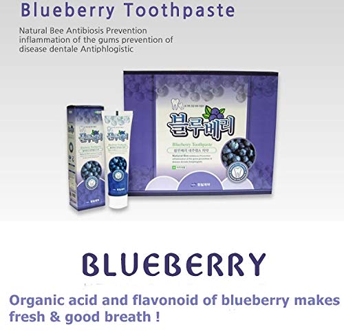 [Australia] - Hanil Blueberry Toothpaste 6.3oz(180g) (Pack of 2) - Korean Oral Care 