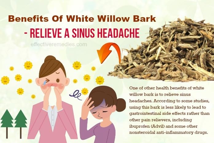 White Willow Bark 1000mg Herbal Supplement, 120 Capsules, Natural Pain Relief & Joint Support, Anti-Inflammatory for Back, Muscle & Joint Comfort