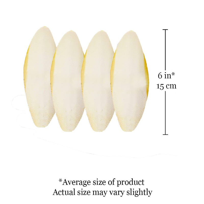 SunGrow 4 Pack Large 6 inch Cuttlefish Bones for Cockatiels, Turtles, Shrimp, Dog Calcium Supplement, Cuttlebone Cage Holder Included 4 Pieces - PawsPlanet Australia