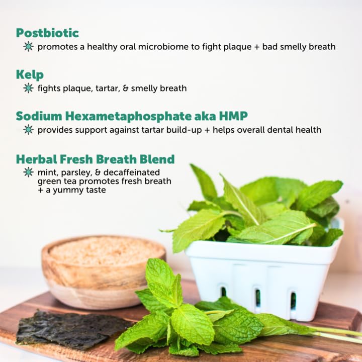 Pet Honesty Dog Breath Freshener Dental Powder for Teeth Cleaning Plaque Off, Dental Care for Dogs, Tartar Remover for Teeth with Natural Herbal Blend + Postbiotics (Mint - 30 Servings) Mint 6.7 Ounce (Pack of 1) - PawsPlanet Australia