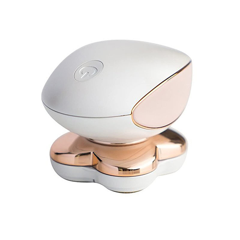 Electric Razors for Women Legs, Painless Hair Removal Device with LED Light, Faultless Shaver for Women, Personal Care Products, Instant (with Storage Bag and Adapter)