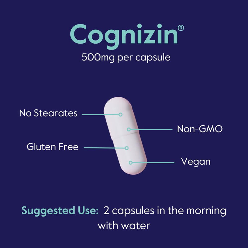 [Australia] - BESTVITE Cognizin Citicoline 500mg (60 Vegetarian Capsules) - Clinically Studied Premium Choline Nootropic - No Stearates - Vegan - Non GMO - Gluten Free - Brain Supplements for Memory and Focus 60 Count (Pack of 1) 