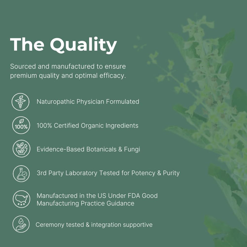 [Australia] - Setas Seeker Ceremony Quality Botanical Supplement Organic Motherwort, Gotu Kola, & Holy Basil to Support Deep Introspective Reflection & Self-Exploration, Vegan & Non-GMO, 60-Day Supply 