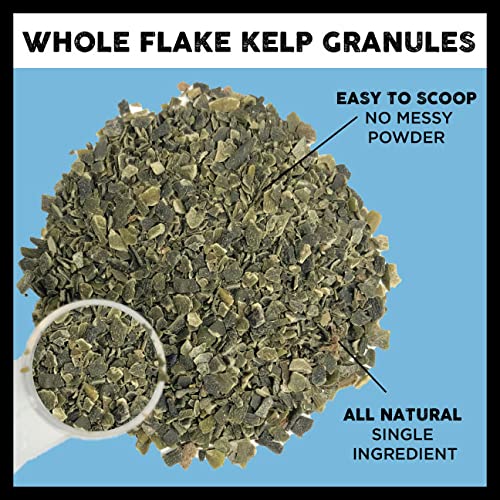 Nature's Diet Nature's Toothbrush Icelandic Seaweed Whole Flakes Oral Health Breath and Build-up Control Daily Meal Topper for Dogs & Cats - PawsPlanet Australia