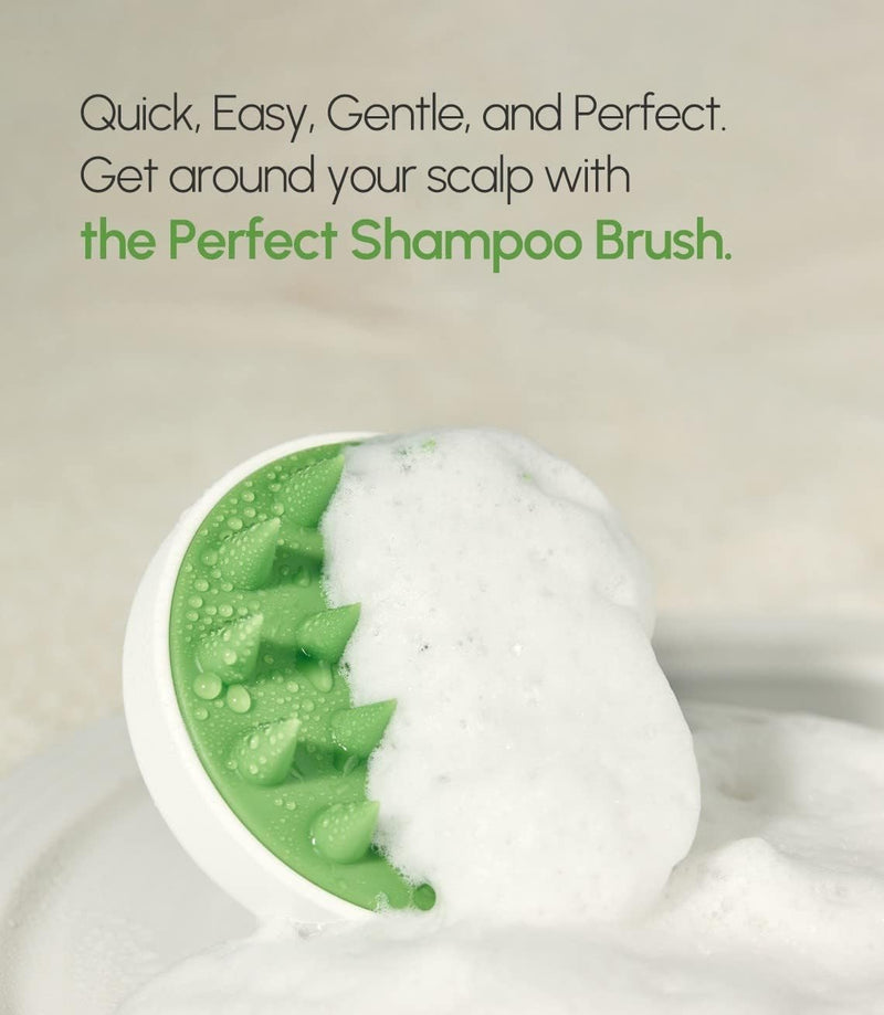 [Australia] - STEAMBASE Perfect Shampoo Brush | Ergonomic Scalp Massager, Scrubber, Exfoliator for Sebum & Dandruff Removal | Soft Silicone Bristles | Dry, Oily, Itchy Scalps, Wet or Dry Hair | White, 1 Count 