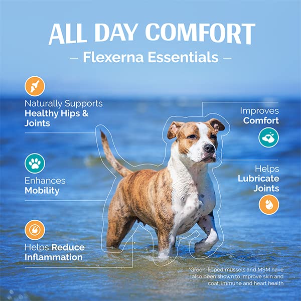 Flexerna Essentials Green Lipped Mussel Powder & MSM for Dogs - Natural Dog Joint & Mobility Support - Natural Glucosamine Chondroitin + Omega-3 Fatty Acids - Anti-Inflammatory - 3 Oz - PawsPlanet Australia