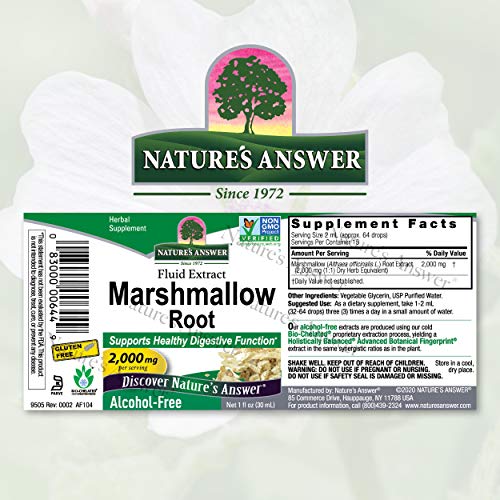 Marshmallow Root Extract, Alcohol-Free, 1-Fluid Ounce, 2,000 mg Potent Digestive Health Support, Quality Herbal Supplement - Bundled Plastic Measuring Spoon [Pack of 3]