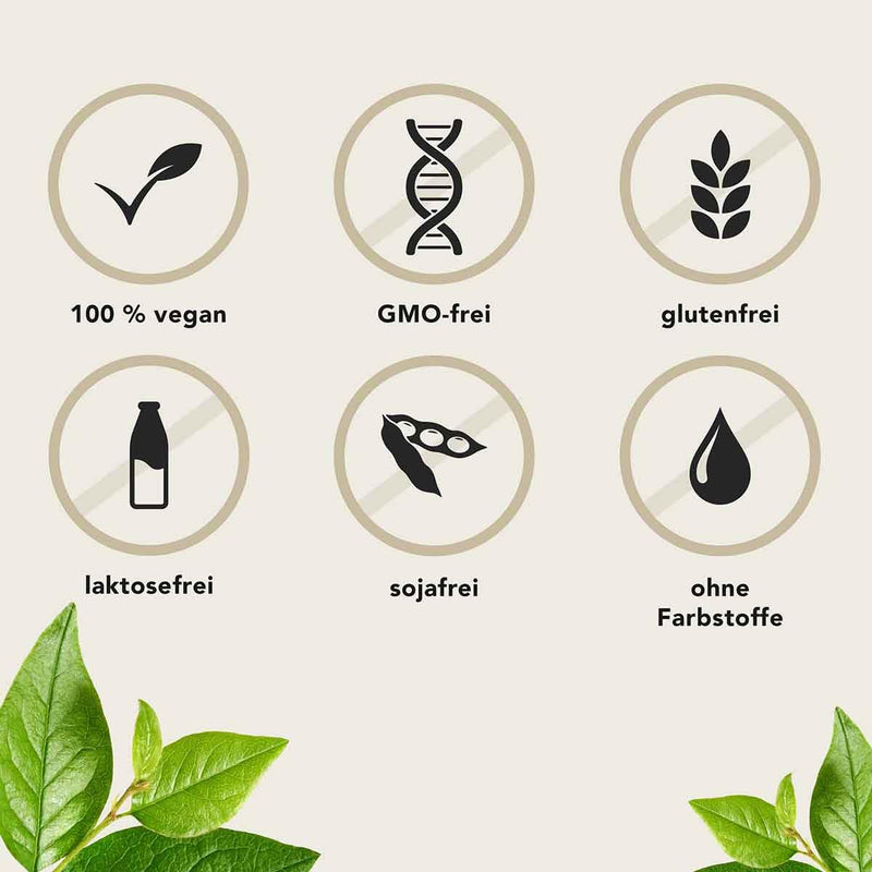 [Australia] - Aura Natura Fermentura Doloferm - with PEA (palmitoylethanolamide), PQQ, MSM, rosehip extract and fermented turmeric - 60 capsules 