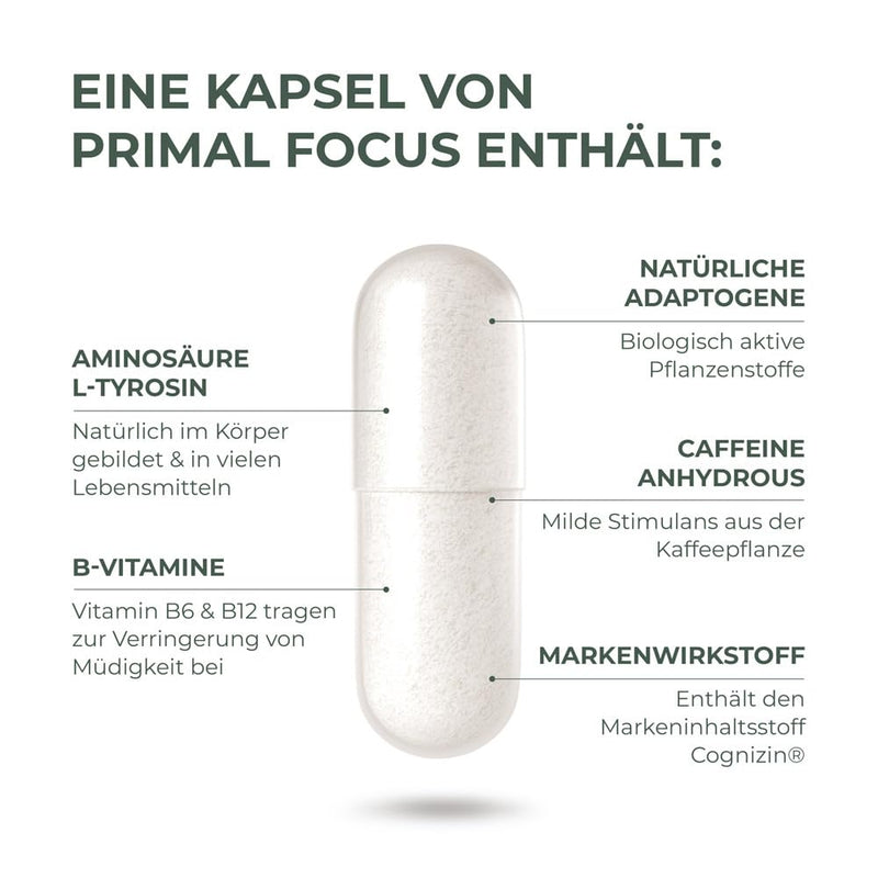 [Australia] - Primal Harvest® Kogni Boost (30 pieces) - concentration tablets for mental performance - for normal psychological function and reduction of fatigue - with L Tyrosine and Cognizin Neutral 