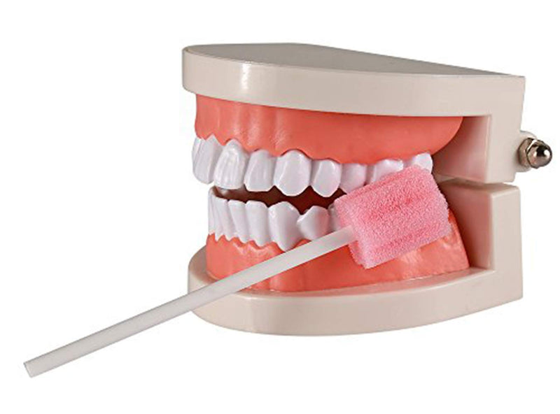 100PCS Disposable Mouth Swabs Sponge - Unflavored, Sterile Oral Swabs Dental Swabsticks for Mouth Cleaning 100 Pink