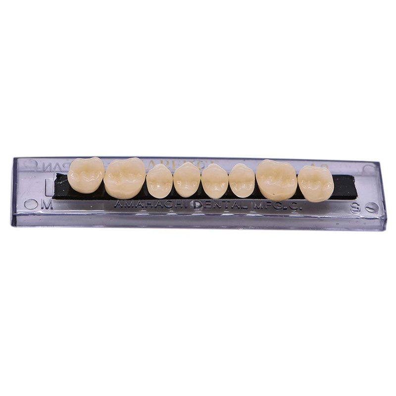 [Australia] - RZJZGZ 168 Pcs Dental Synthetic Resin Tooth Denture Temporary False Teeth 6 Sets False Teeth 23 A2 
