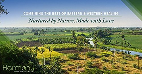 [Australia] - Ashoka Menstrual Feminine Wellness Ayurvedic Herbal Remedy 120 Capsules 