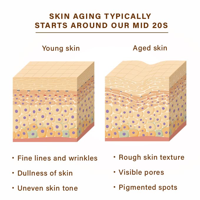 MASK, Revitalizing, Moisturizing, Soothing Skin Texture, 10 Sheets (Anti-aging Mask) Anti-aging Mask
