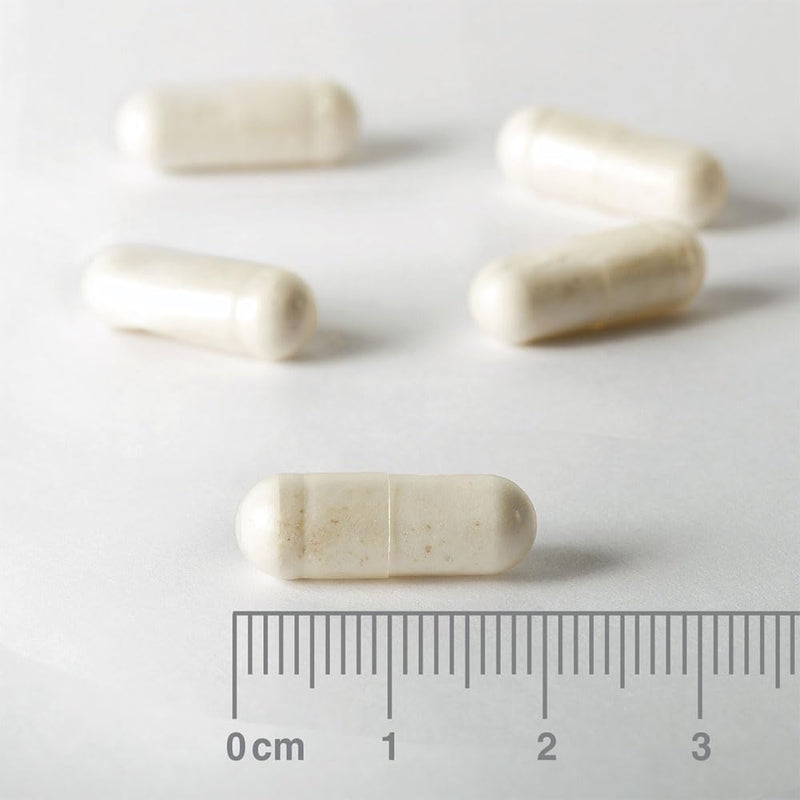 Nature’s Best ProBiome Everyday - 10 Billion Live Bacteria - Delayed Release Capsules - 30 Capsules (1 Month Supply) 30 count (Pack of 1)