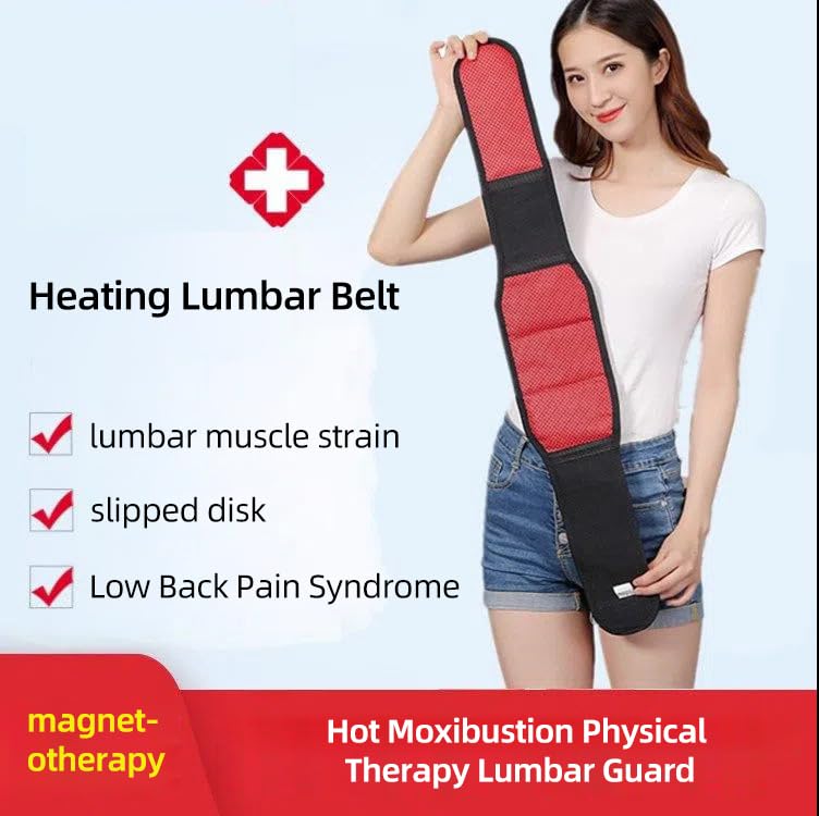 [Australia] - Thermal Magnetic Therapy Lumbar Support Belt Lower Back Brace for Men and Women, Self-Heating Waist Strap with Gauss Magnets (Large) Large (Pack of 1) 