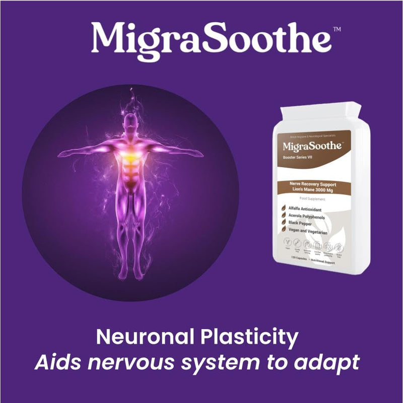 Migraine MigraSoothe Booster Series VII Lion's Mane 3000 Mg Migraine Nerve Recovery Repair Support UK Made and Allergen Free - 120 Capsules