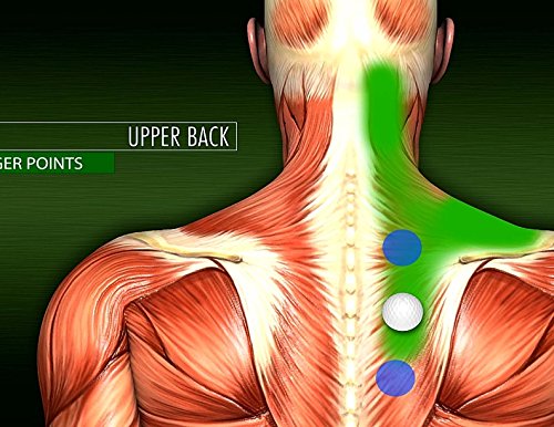 [Australia] - Golf Ball Deep Tissue Massager-The Best Massage Techniques to Relieve Stress-Tension-Sore Muscle Spasms-Back-Neck-Calf and Shoulder Pain Trigger Point Relief 