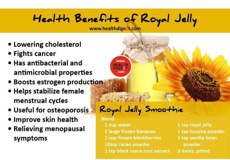 VITA PHARMA Organic Fresh Royal Jelly 1000mg 60 Capsules, Energy & Vitality, Healthy Immune System, Skin, Hair & Overall Wellness