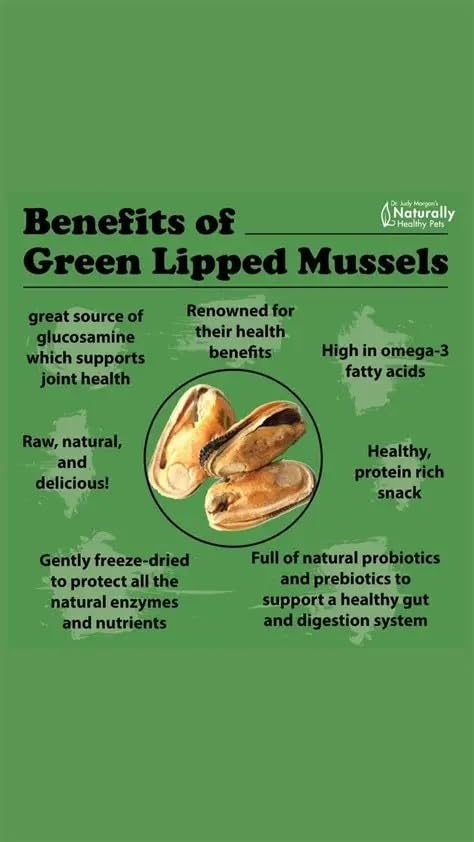 Green Lipped Mussel 2000mg 365 Tablets Immune System, Inflammation, Joint Health & Flexibility, Muscle & Bone Comfort, Joint & Mobility Support