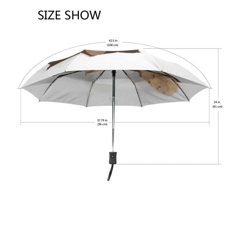 Black Compact Travel Umbrella Maine Coon Cat Auto Open Close Umbrella Windproof Anti-UV Cat #2