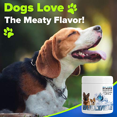 Natural Dog Supplement with 18 Vitamins & Minerals. Mixes with Water or Food. (Beef) Beef - PawsPlanet Australia