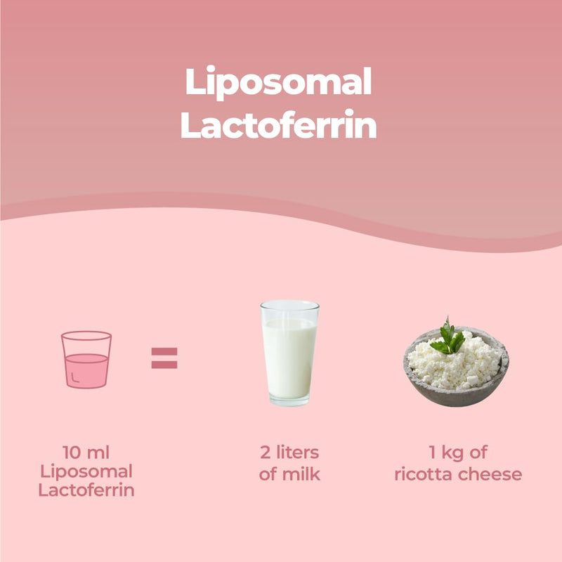 Bandini® Liposomal Lactoferrin Liquid | High Strenght, High Bioavailability & Absorption | for Iron Absorption & Immune Function | A Component in Colostrum | No Additives, Laboratory Tested | 250ml