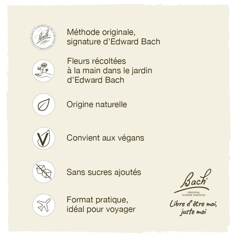 [Australia] - Bach Original Flower Remedies, Willow for Forgiveness, Natural Homeopathic Flower Essence, Holistic Wellness, Vegan, 20mL Dropper 0.68 Fl Oz (Pack of 1) 