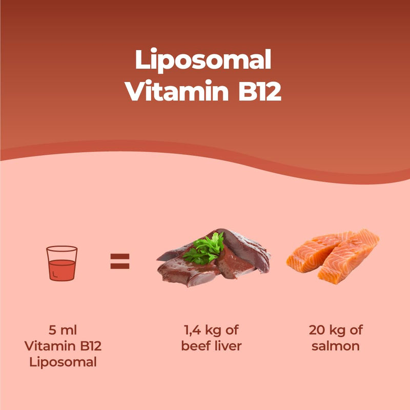 Bandini® Liposomal Vitamin B12 Liquid | 1000 mcg per Serving (5ml) | Pure Methylcobalamin Supplement | High Strength, High Bioavailability & Absorption | Tiredness, Fatigue, Immunity Support | Vegan