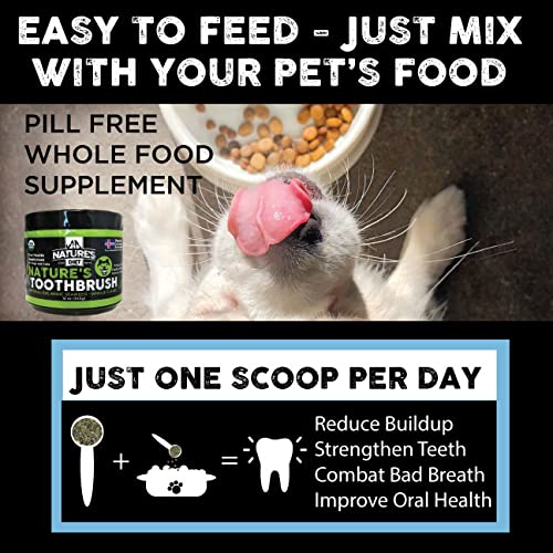 Nature's Diet Nature's Toothbrush Icelandic Seaweed Whole Flakes Oral Health Breath and Build-up Control Daily Meal Topper for Dogs & Cats - PawsPlanet Australia
