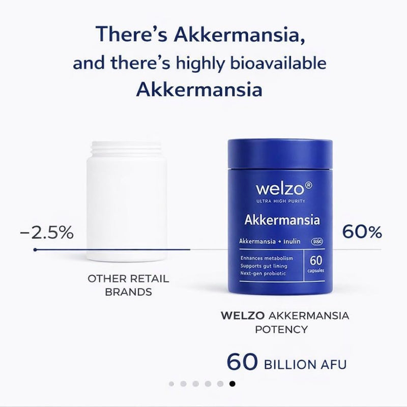 Welzo Ultra Purity Akkermansia 60 Billion AFU – Next-Gen Probiotic Supplement with Inulin & Lactobacillus – 60 Vegan Capsules for Gut Health, Metabolism & Digestive Support 1