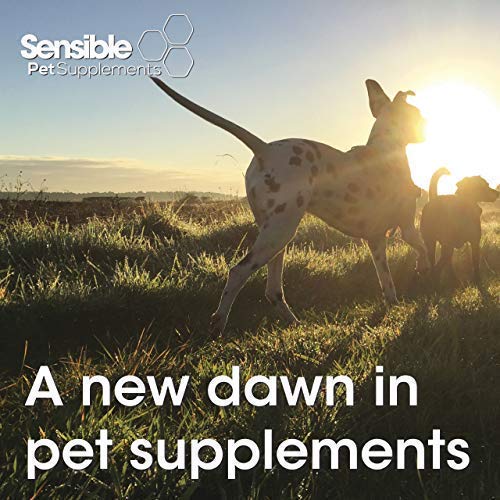 Sensible Pet Supplements 'L-Lysine' for Cats. 50ml Gel. (Pack of 2) 50 ml (Pack of 2)