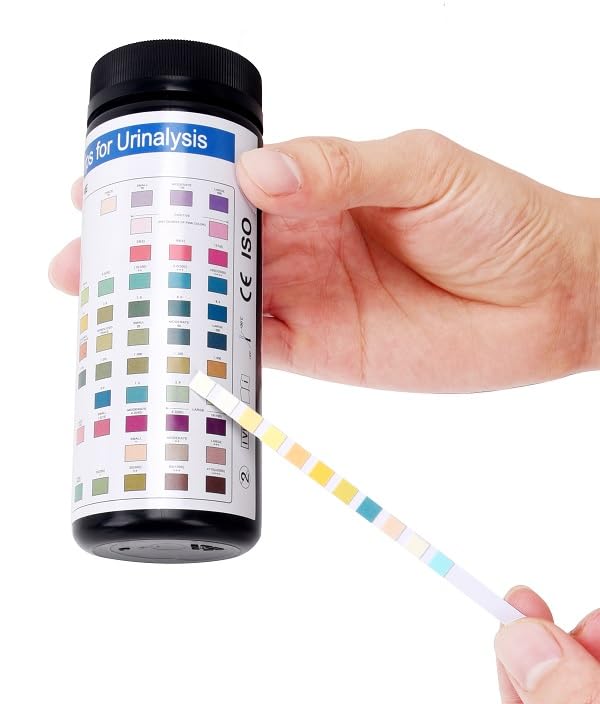 [Australia] - BecaGoode-Urine Rapid Test-Strips 11 Parameters, UTI Test Kit, Liver Function, Kidney and Gallbladder, Packed w/h Two Separate Foil Pouch in One Big Bottle - 120 Count 