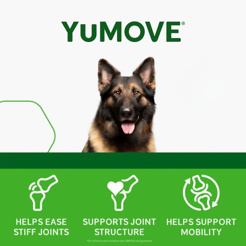 Lintbells YuMOVE Joint Supplement Dog Chews - Contains Glucosamine, Green Lipped Mussel - Natural Relief from Hip Ache, Stiff Joints - 1 Month’s Supply (Large & X-Large) Large & X-Large - PawsPlanet Australia