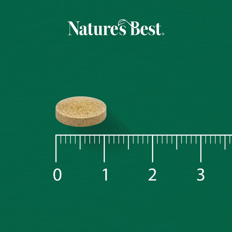 Nature's Best Ginkgo Biloba 6000mg - High Strength - Pure Grade Extract and Time Release Formula - UK Made - 120 Vegan Tablets (2 Months' Supply)