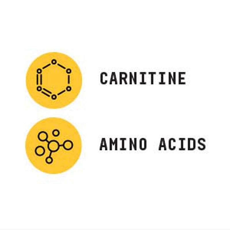 [Australia] - BEYOND RAW Chemistry Labs L-Carnitine Powder | Fuels Exercise and Supports Recovery | 30 Servings 30 Servings (Pack of 1) 