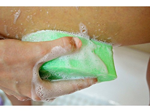[Australia] - Spongeables Anti Cellulite Body Wash in a 20+ Wash Sponge, Fresh Aloe, 1 Count 1 Count (Pack of 1) 