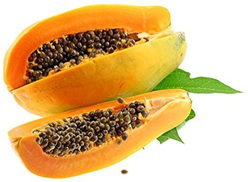 [Australia] - NATURAL PAPAYA KERNELS - SUN DRIED (BELOW 30°C) RAW FOOD QUALITY (approx. 850 kernels or 12.5g) 